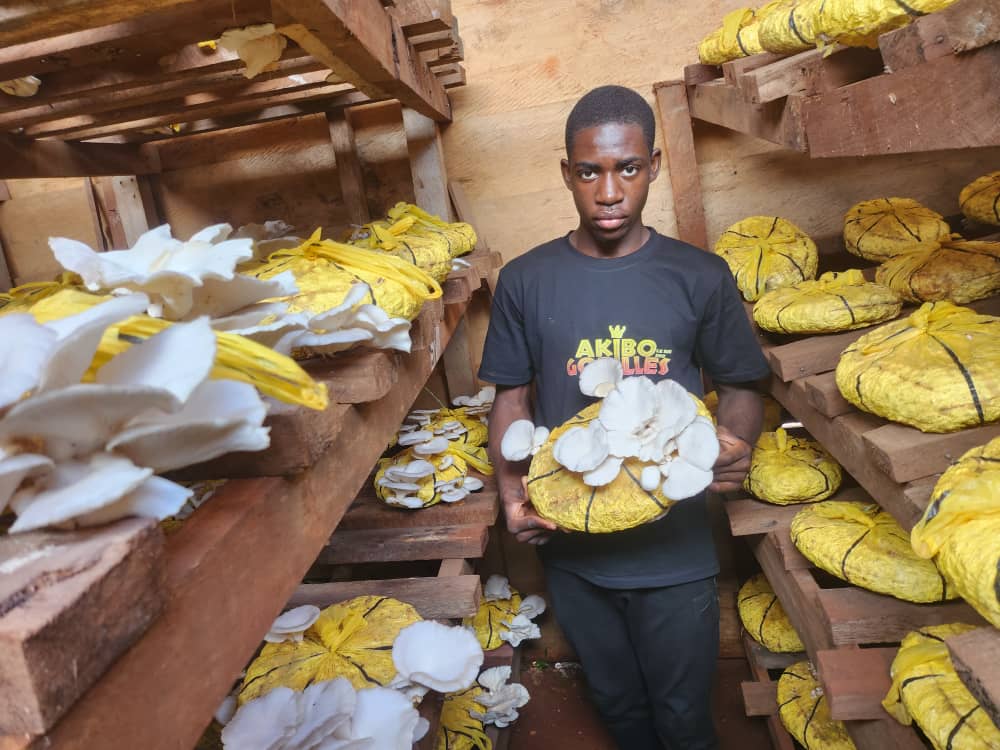 Cameroon Forestry Project